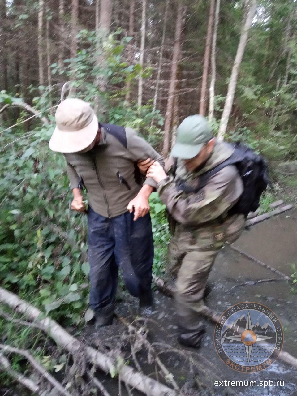 дед вывод.jpg