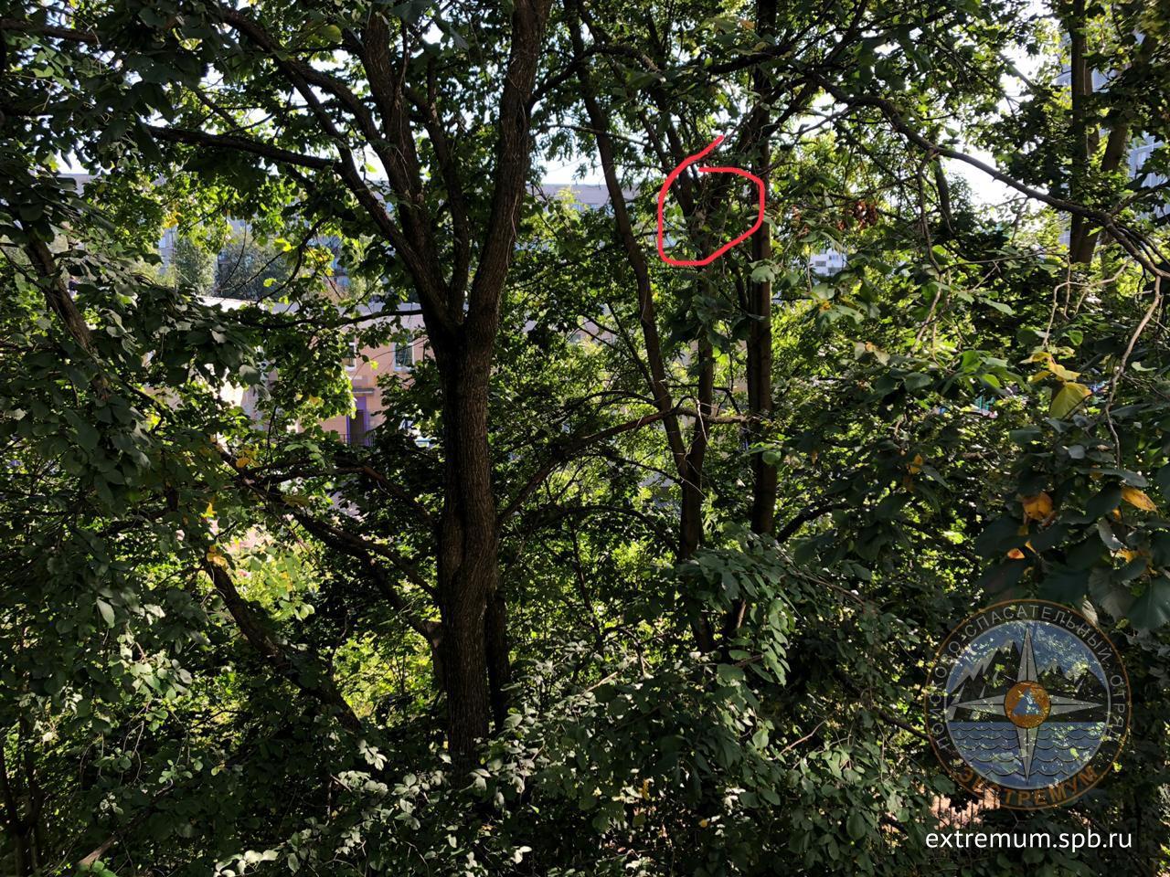 06412664-40F4-4547-8A2B-0862BA68B7E2.jpeg