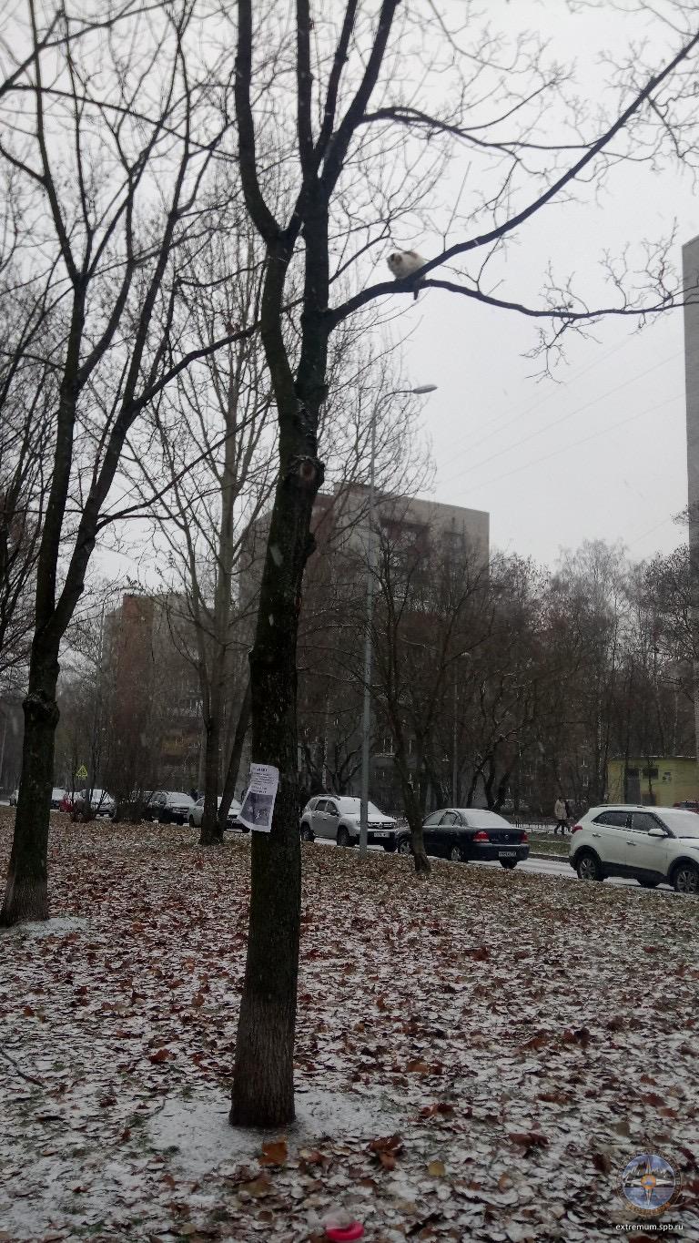 33E529C0-02D9-4153-B845-0C8919C9DA20.jpeg