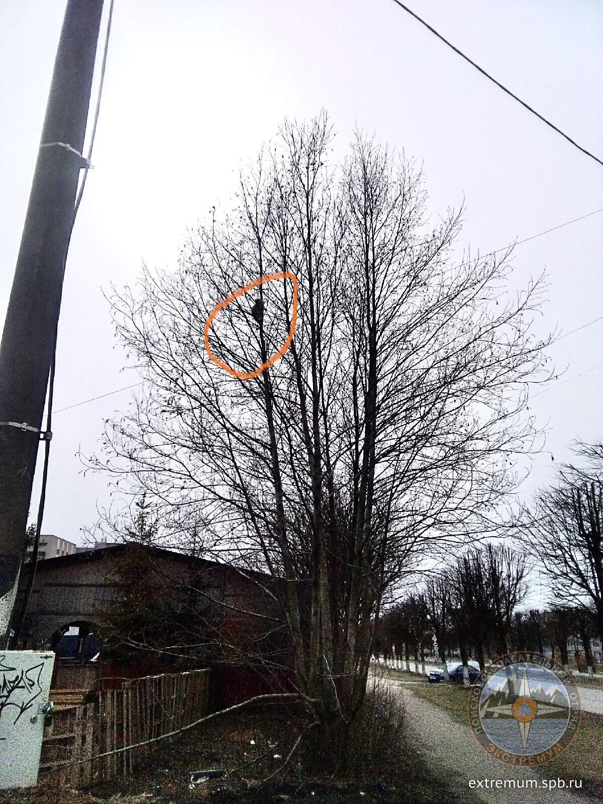 84371F41-7C57-4160-8B9B-A9AB4A8AA0B4.jpeg