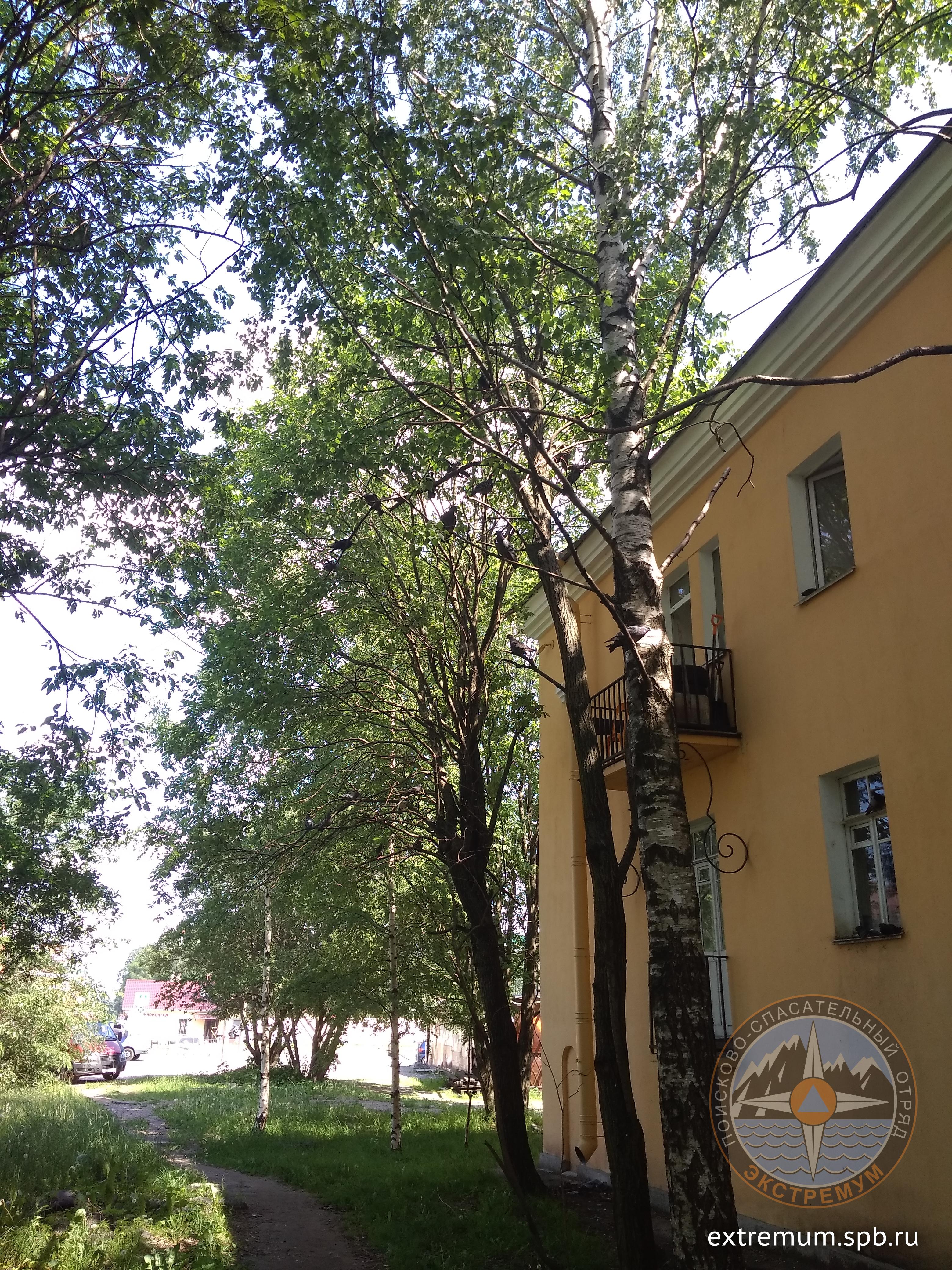 IMG_20200618_133856.jpg