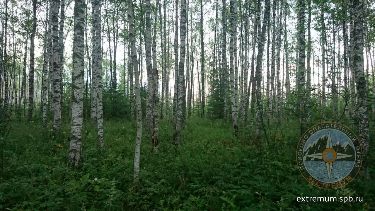 photo5256248442647326697.jpg