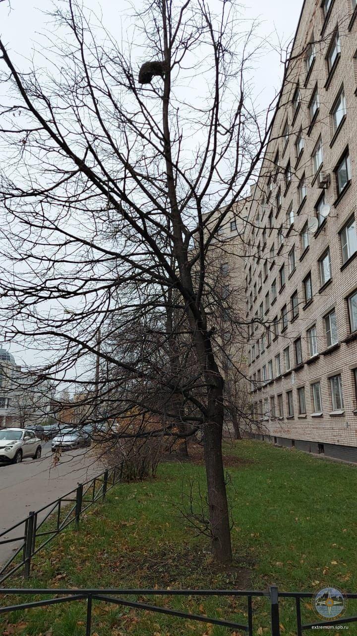 20201111_122732.jpg