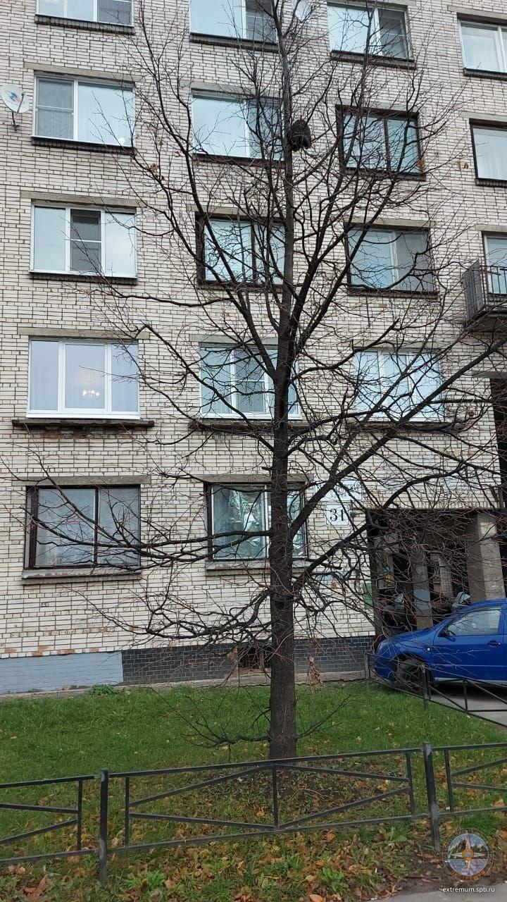 20201111_122737.jpg
