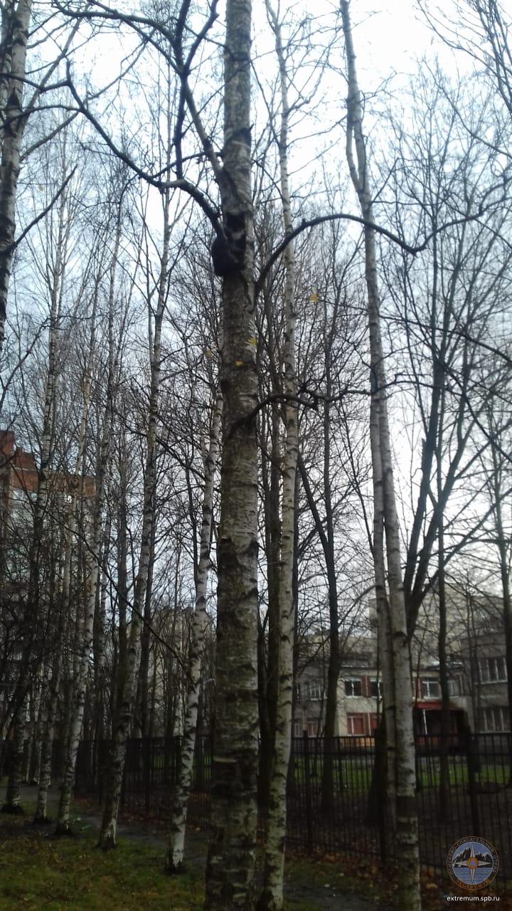 IMG-20201121-WA0001.jpg