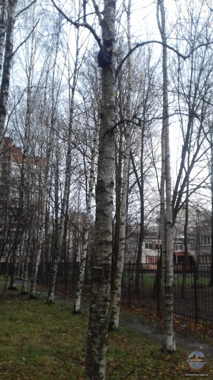 IMG-20201121-WA0002.jpg