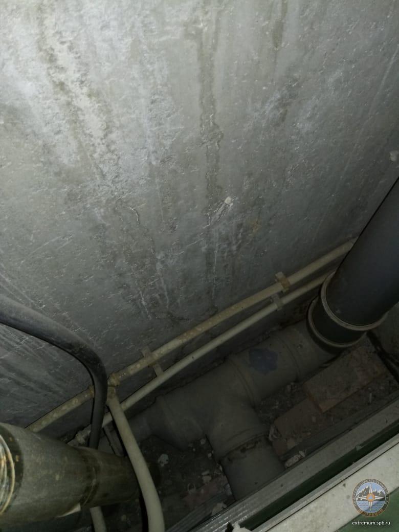 IMG-20201210-WA0003.jpg
