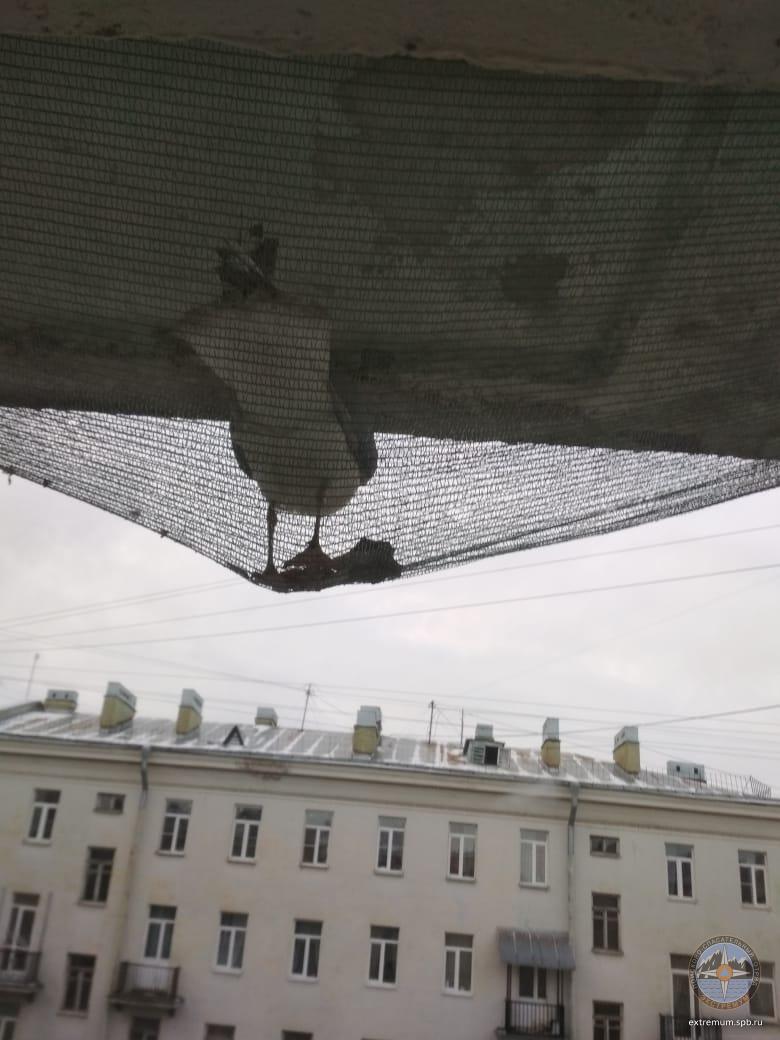 чайка.jpg
