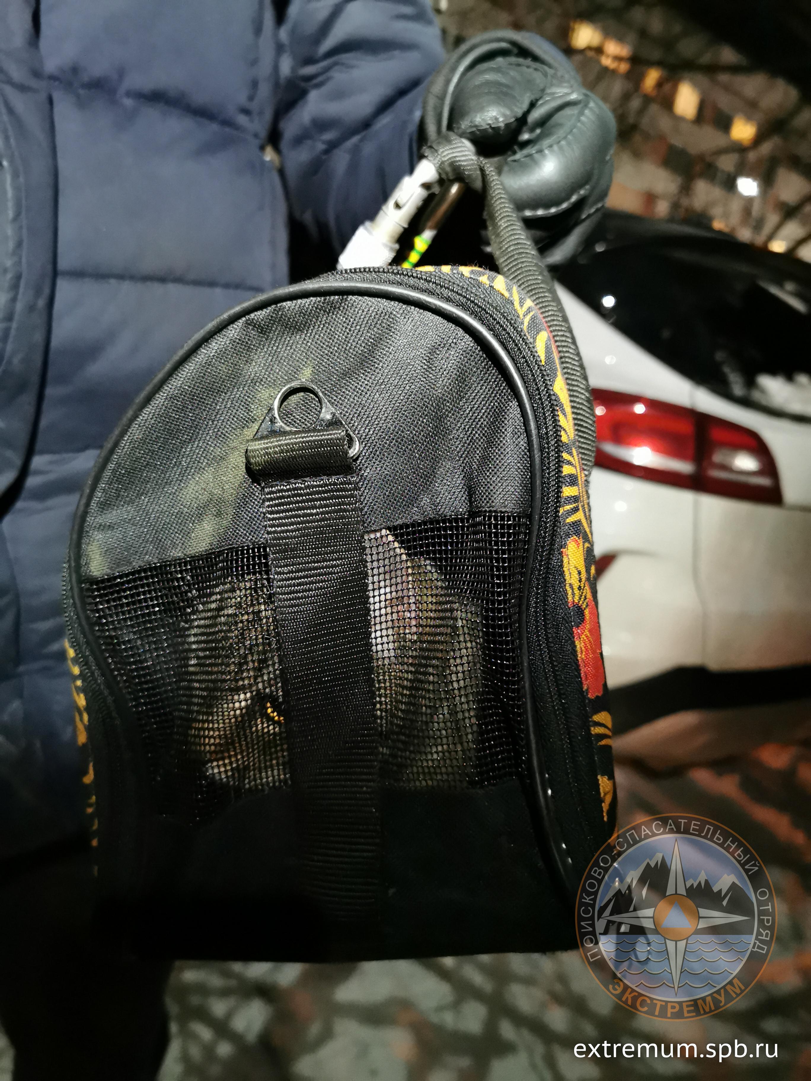 IMG_20210309_215619[1].jpg